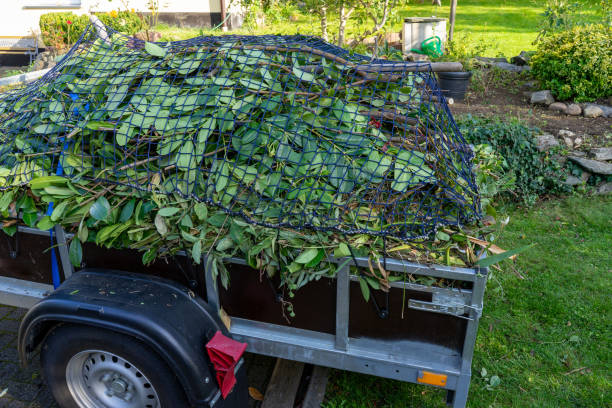 Best Hoarding Cleanup  in Moxee, WA